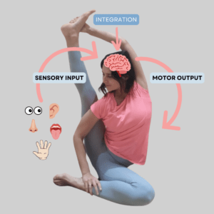 infographic-neurocentric-training