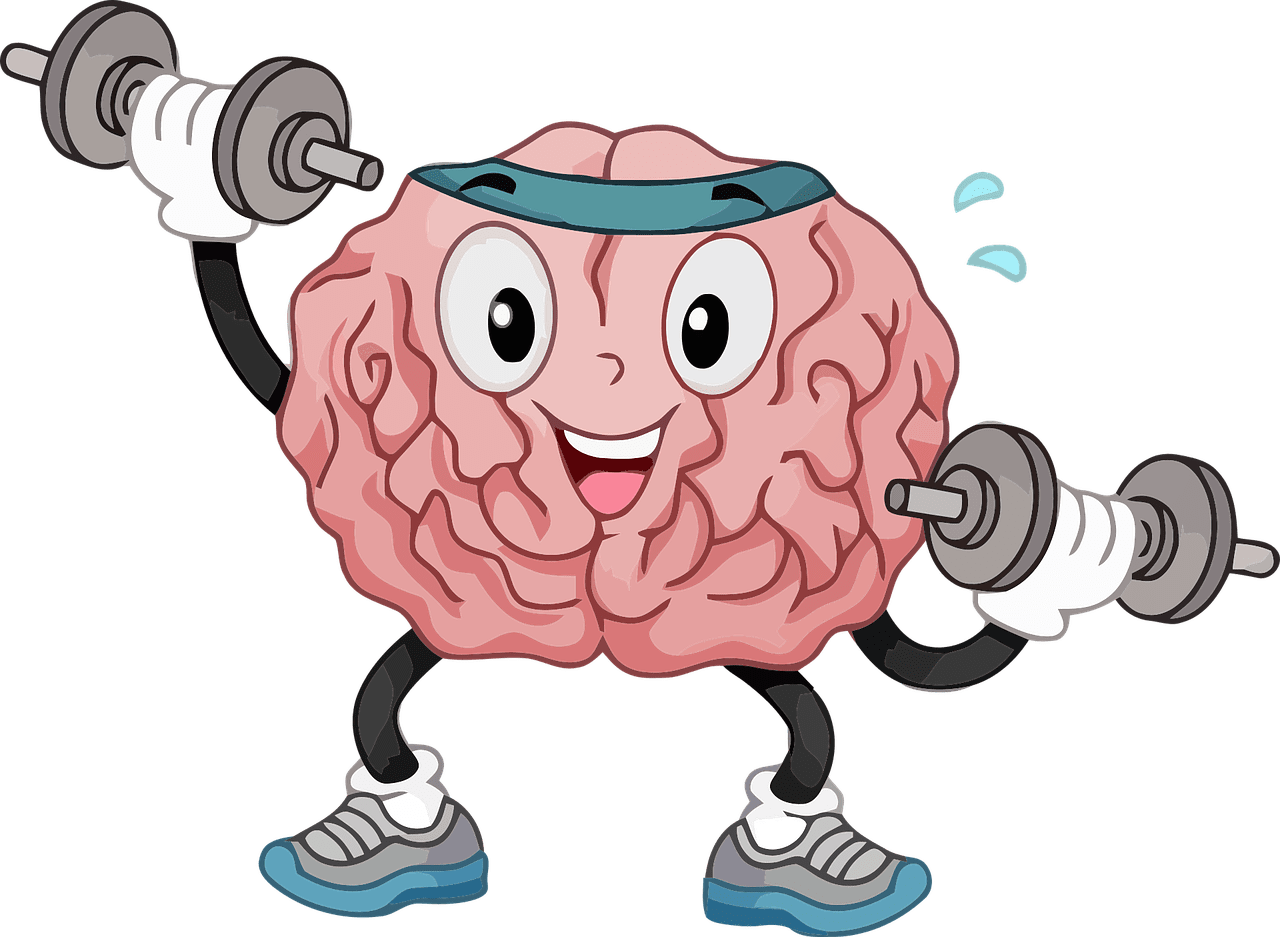 brain, organ, muscle-5532459.jpg